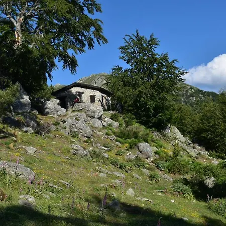Cosy Avec Piscine Privative Holiday home *
